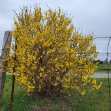 20250426_120058-scaled