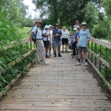 One of the innovative flat bed bridges.