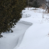 Wind carving