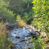 Sulphur Springs at Wildwood