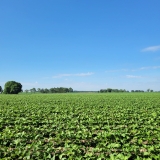 20250705_092818-scaled