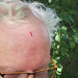 20250705_113802-scaled