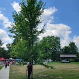 20250705_122332-scaled