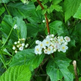 20250614_093434-scaled