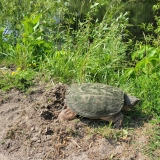 20250614_103212-scaled