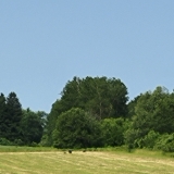 20250614_110549-scaled