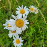 20250628_094612-scaled