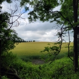 20250628_120348-scaled