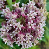 20250628_201440-scaled