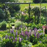 20250607_092150-scaled