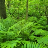 20250607_095459-scaled