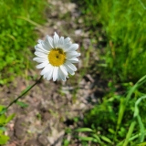 20250607_105407-scaled