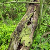 20250524_101439-scaled