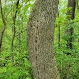 20250524_101917-scaled