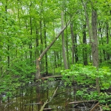 20250524_103259-scaled