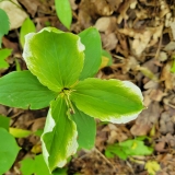 20250524_114052-scaled