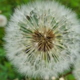 20250524_114638-scaled