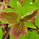 20250524_124058-scaled