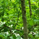 20250531_092444-scaled