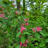 20250531_101137-scaled