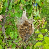 20250531_110736-scaled