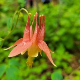 20250531_120825-scaled