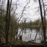 Lots of wetland scenery