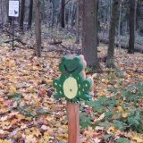 Some interesting signs along the way