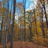 November 2, 2025 - Mystery Falls Hike