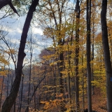 November 2, 2025 - Mystery Falls Hike