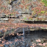 November 2, 2025 - Mystery Falls Hike