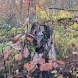 November 2, 2025 - Mystery Falls Hike