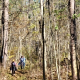 November 2, 2025 - Mystery Falls Hike