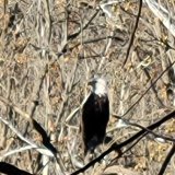 November 2, 2025 - Mystery Falls Hike