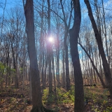 20251122_1023231-scaled