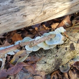 20251122_1027311-scaled