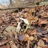 20251122_1124161-scaled