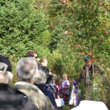 One of the 25 native Maple trees planted by the club.