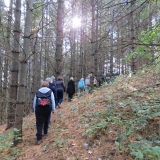 IMG_1162-e1539568019265