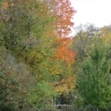 IMG_1167-e1539568077311
