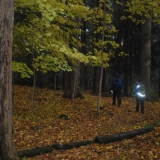 The woods were covered with beautiful leaves