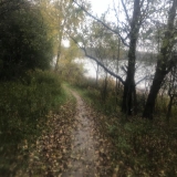 Beauty in the rain