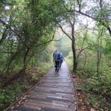 Thankful the boardwalks had shingles to prevent slipping