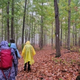 The rain made for a misty landscape.