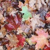 20251011_0943211-scaled