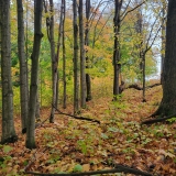 20251011_0953281-scaled