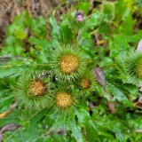 20251011_1002531-scaled