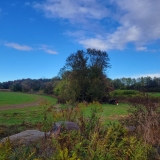 Skies cleared and the sun shone brightly