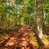 20251011_1047151-scaled