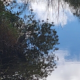 Reflections